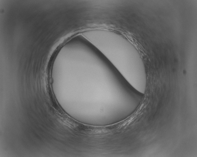 X0000051260342200506170822