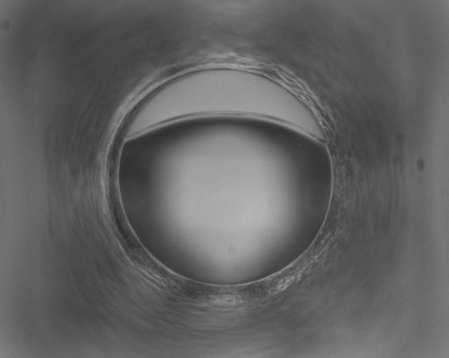 X0000051260344200506170822