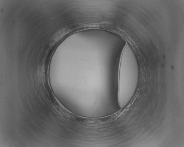 X0000051260346200506170822