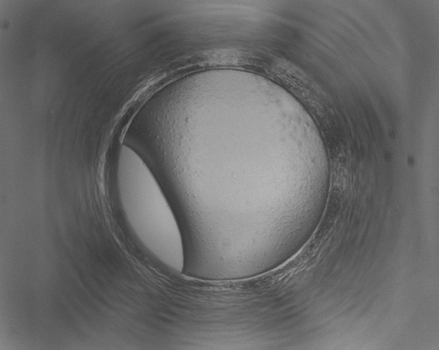 X0000051260347200506170822