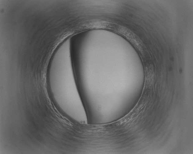 X0000051260386200506170822