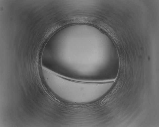 X0000051260434200506170820