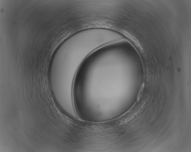 X0000051260481200506170820