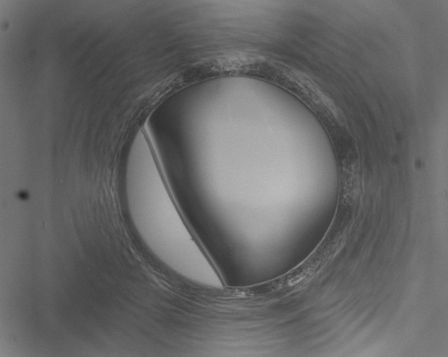 X0000051260505200506170820