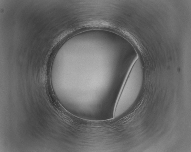 X0000051260531200506170818