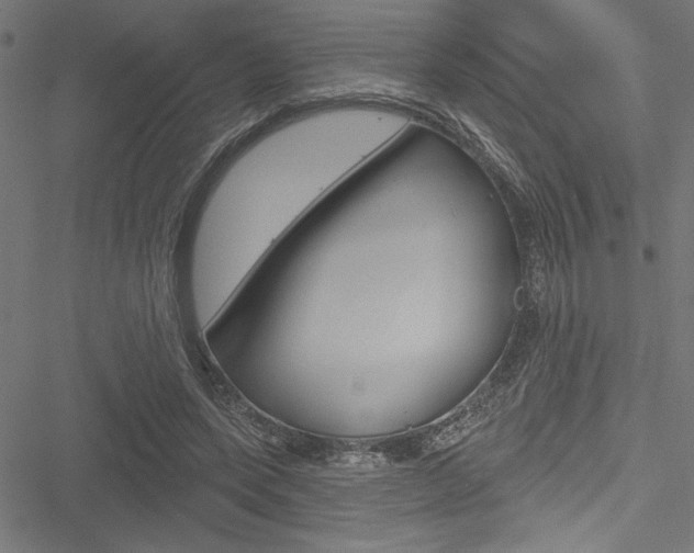 X0000051260543200506170819