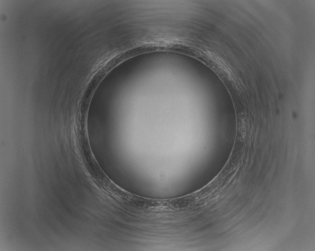 X0000051260544200506170819