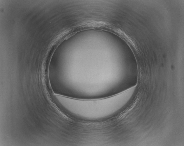 X0000051260581200506170818