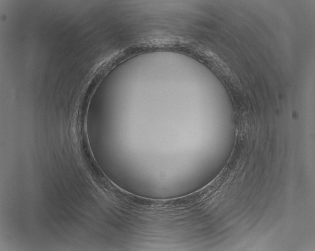 X0000051260640200506170817