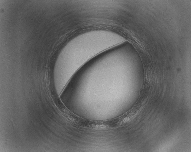 X0000051260645200506170817