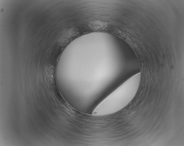 X0000051260664200506170817