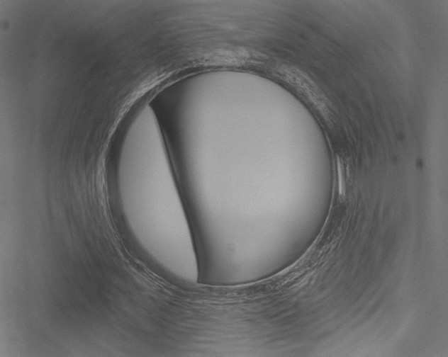 X0000051260675200506170817