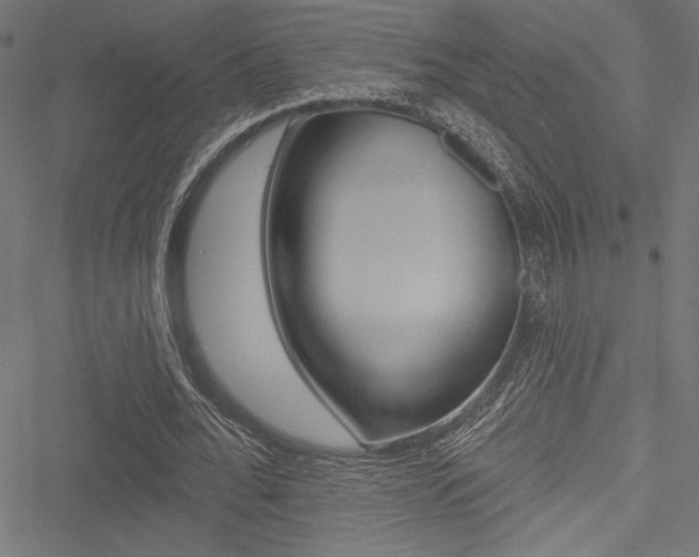 X0000051260676200506170817