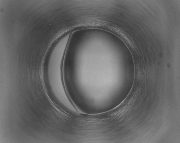 X0000051260677200506170817