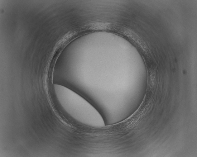 X0000051260682200506170817