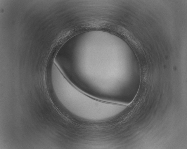 X0000051260685200506170817
