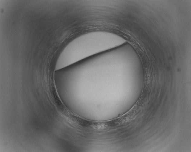 X0000051260695200506170816
