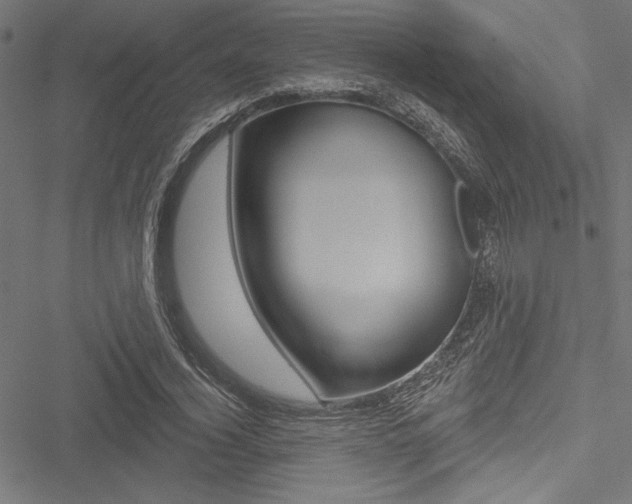 X0000051260732200506170815