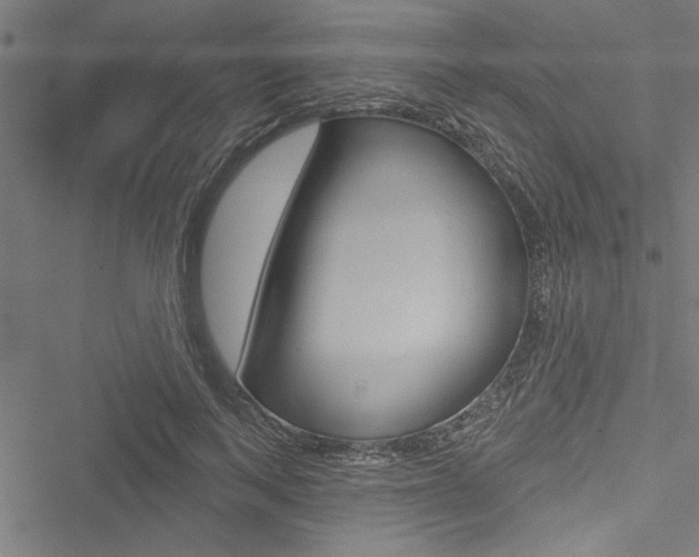 X0000051260743200506170816