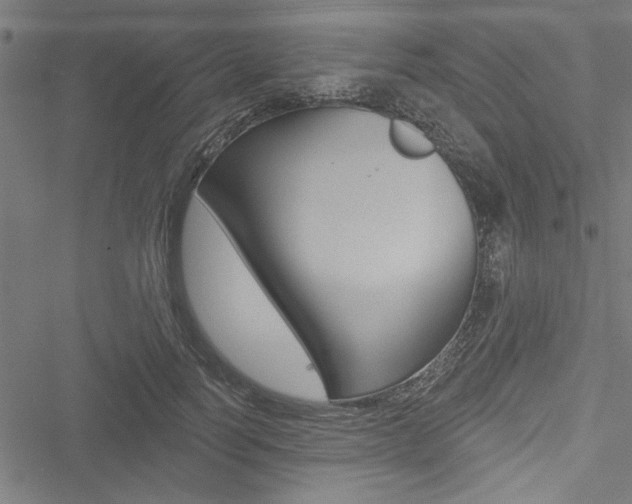 X0000051260746200506170816