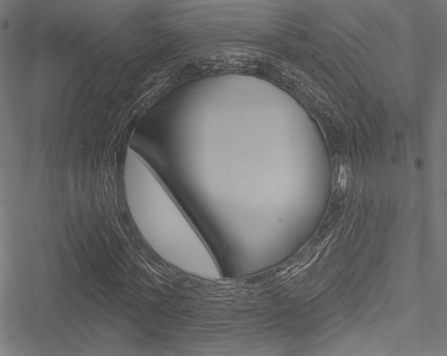 X0000051260771200506170815
