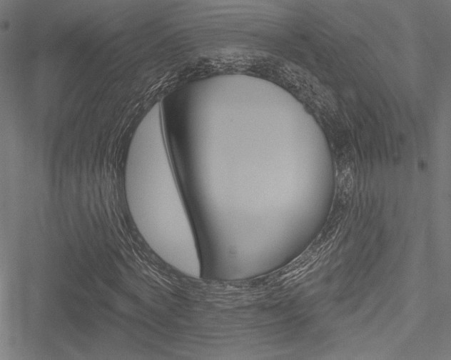 X0000051260772200506170815