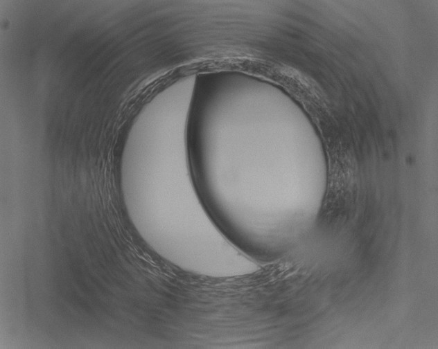 X0000051260773200506170815