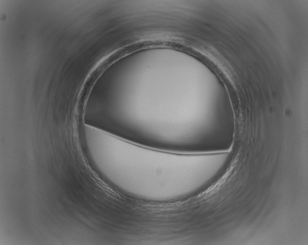 X0000051260783200506170815