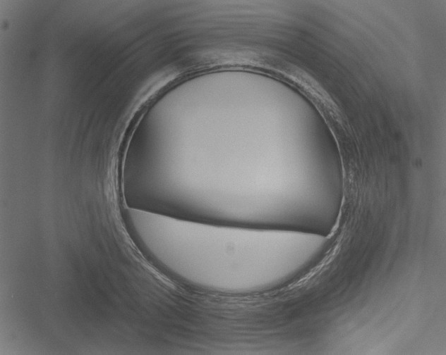X0000051260790200506170815