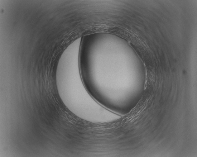 X0000051260818200506170814