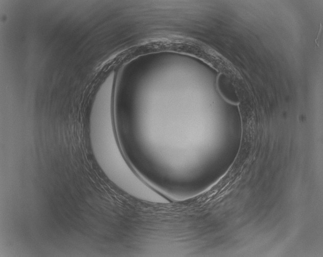 X0000051260822200506170814