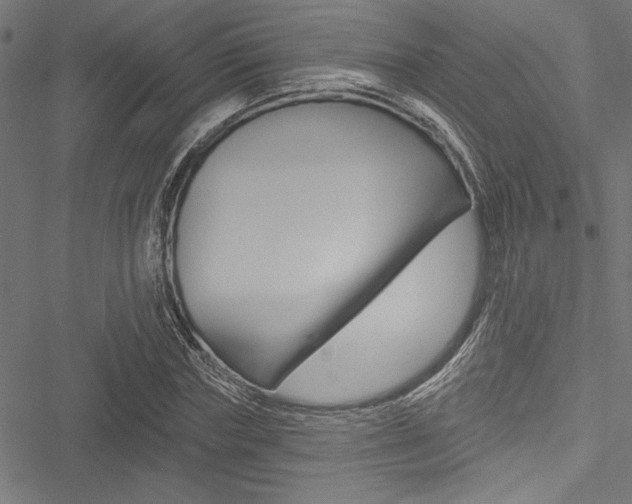 X0000051260827200506170814