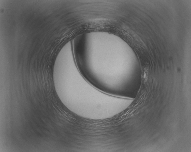 X0000051260867200506170814
