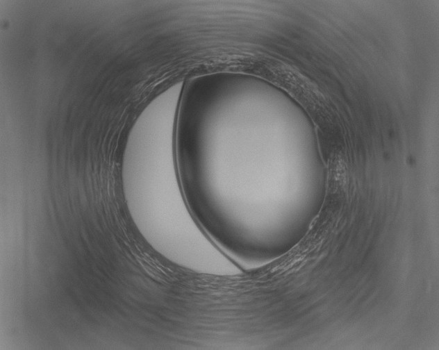 X0000051260868200506170814