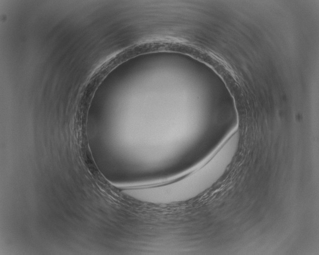 X0000051260872200506170814