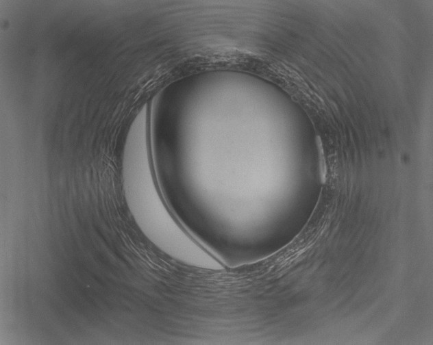 X0000051260916200506170812