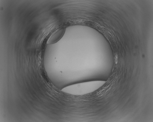 X0000051261011200506170811