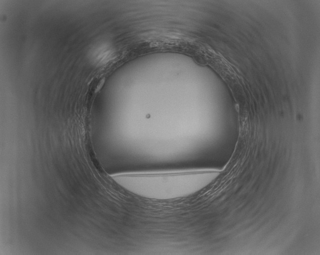 X0000051261012200506170811