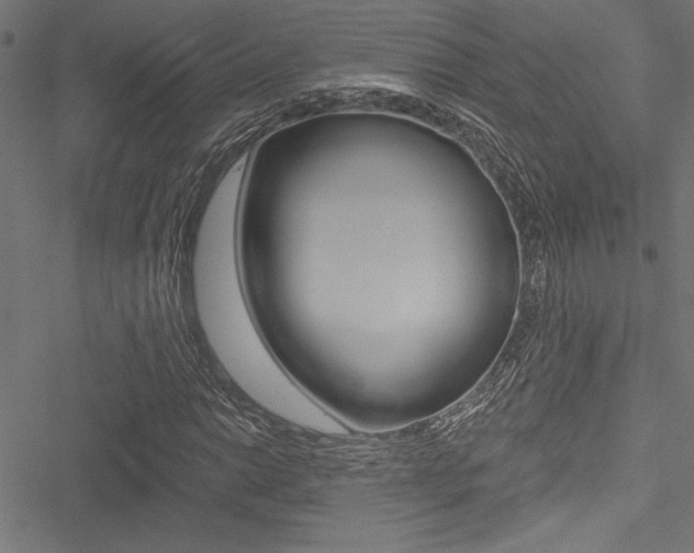 X0000051261014200506170811