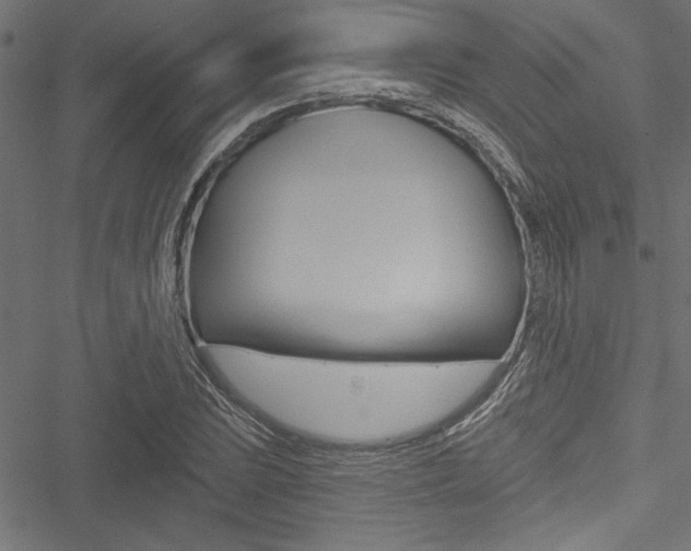 X0000051261023200506170811