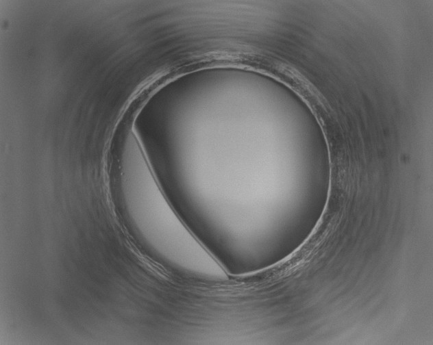 X0000051261026200506170811