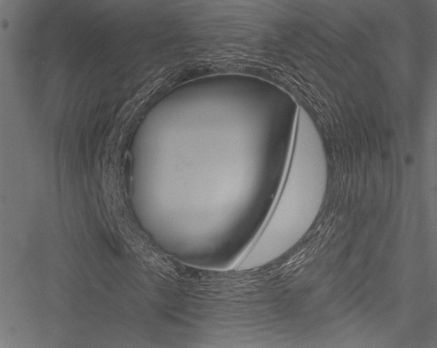 X0000051261057200506170811