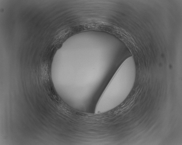 X0000051261060200506170810