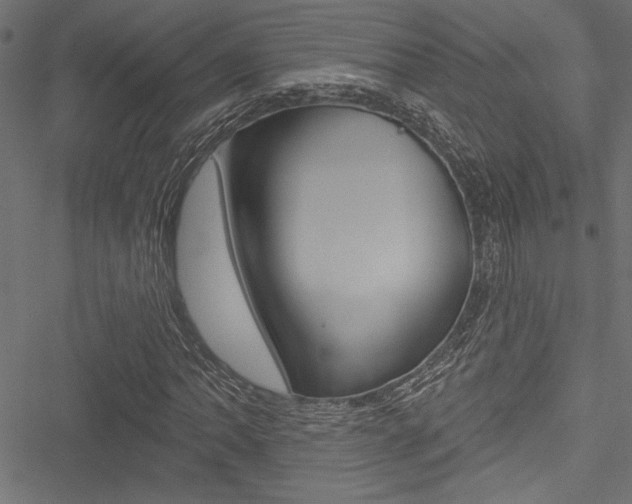X0000051261062200506170810