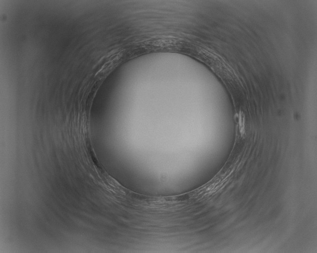 X0000051261107200506170809