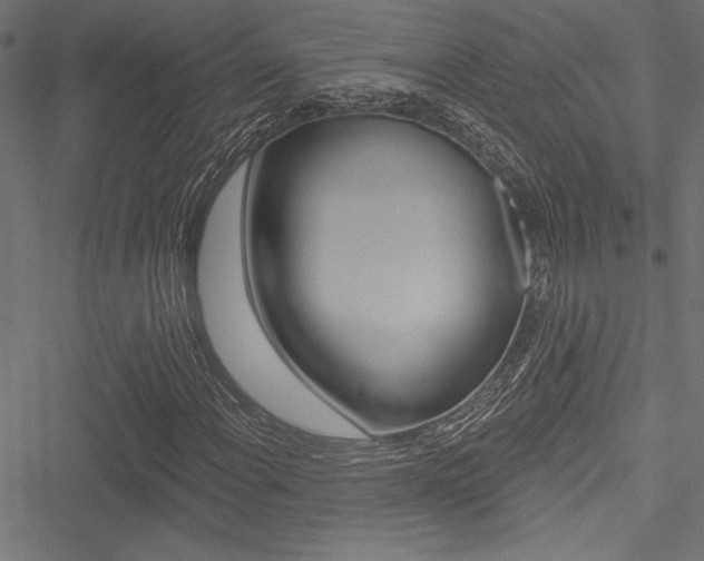 X0000051261108200506170809