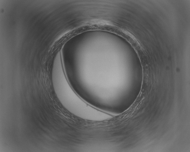 X0000051261112200506170809