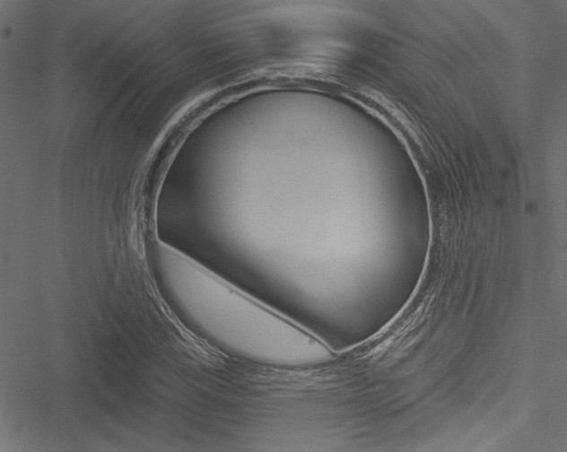 X0000051261115200506170809