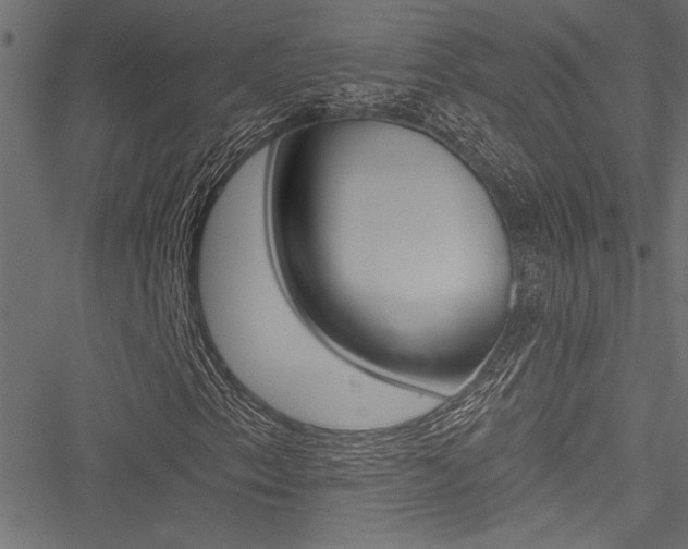 X0000051261153200506170809