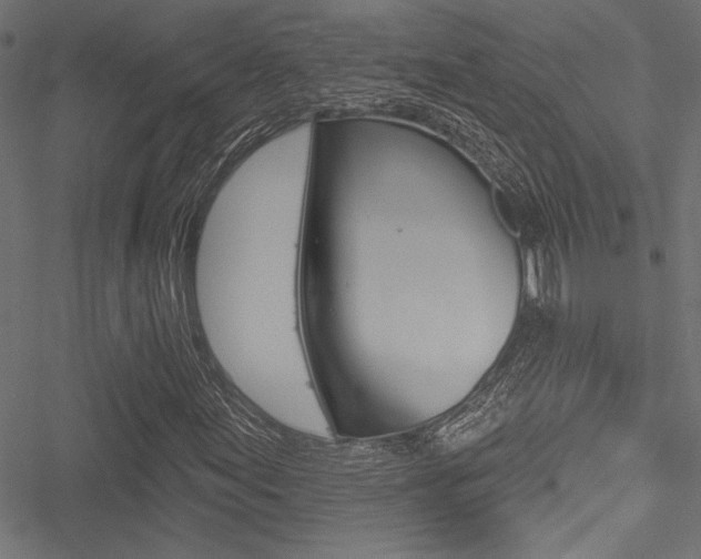 X0000051261155200506170809